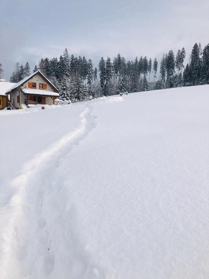 Domek W Gorach Jaworzynka Villa Luaran gambar